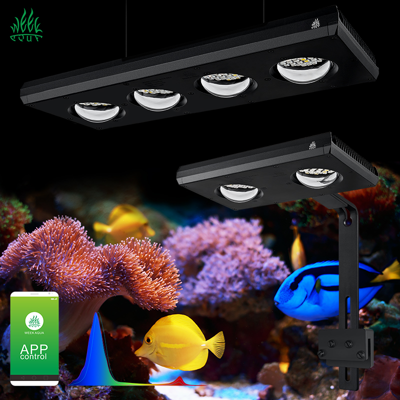 Marine Aquarium Led Lights - ZXY gran oferta WEEKAQUA Z250 Z400sea