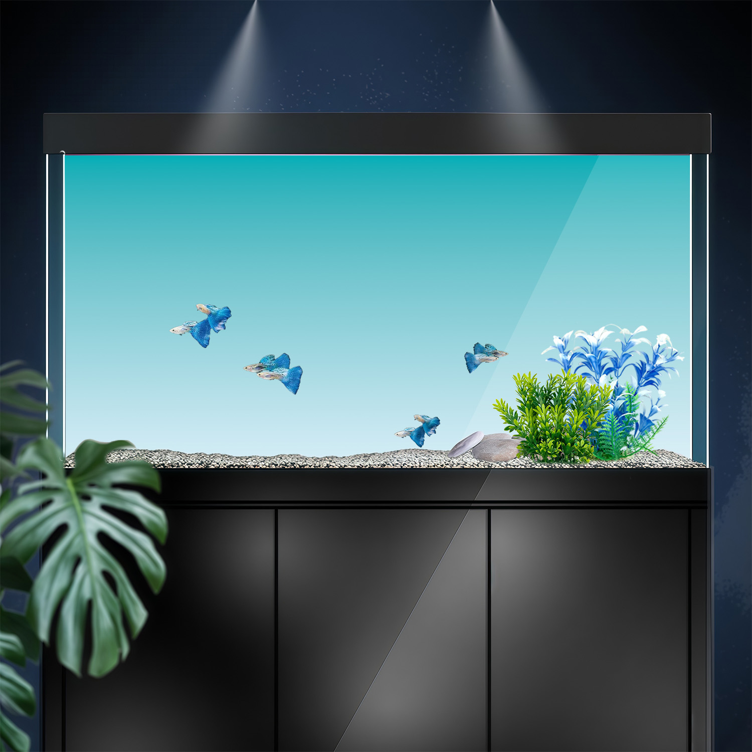 Fondo de Acuario con Degradado - Marine Aquarium Glue reseña y precio