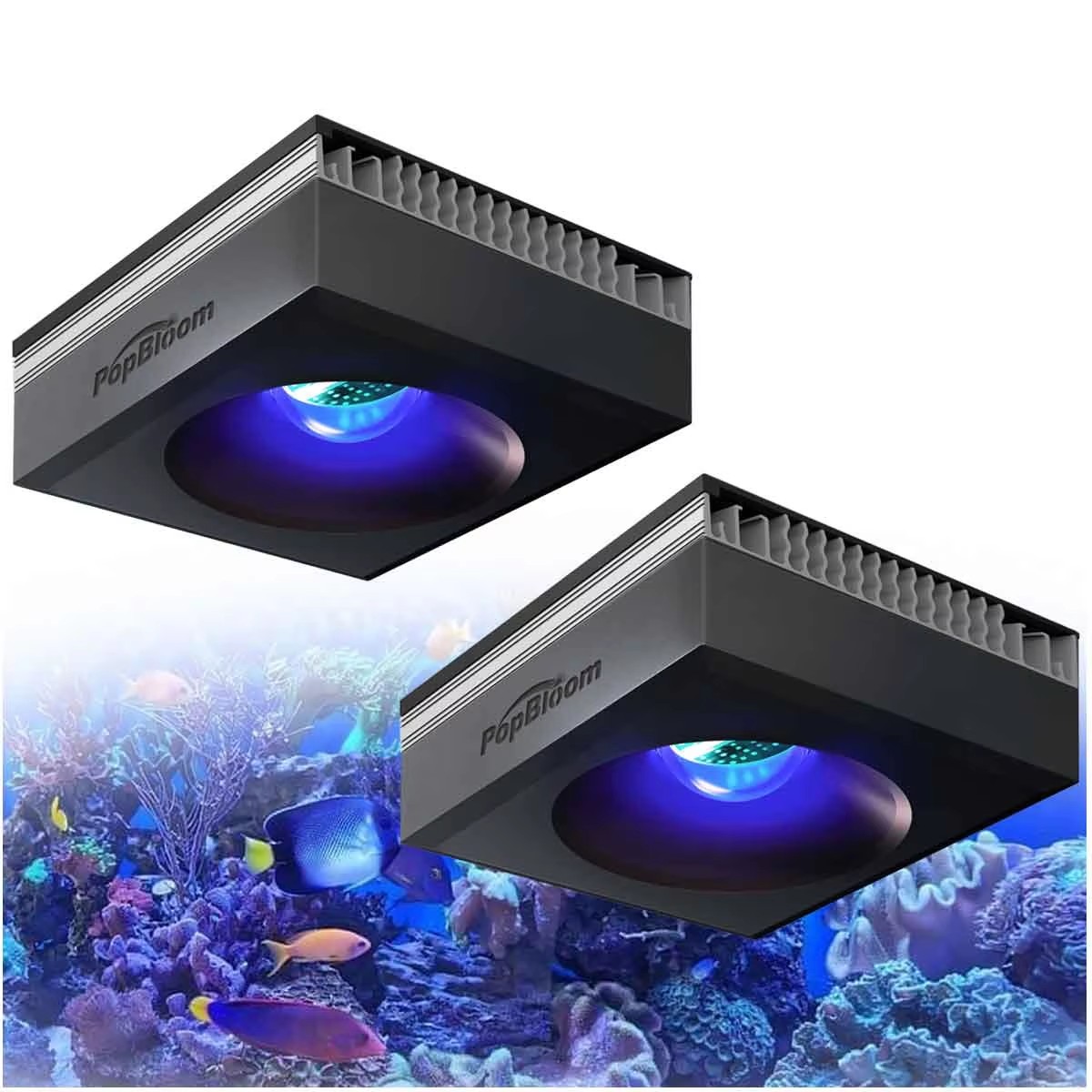Lámpara para Acuario de Arreci - Marine Aquarium Led Lights reseña y precio