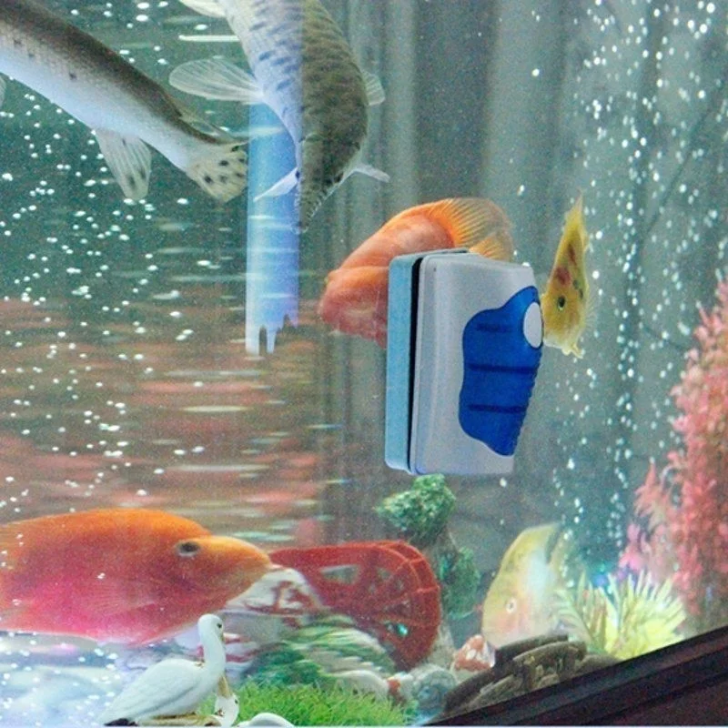Limpiador raspador de vidrio p - Marine Aquarium Glass Cleaner reseña y precio