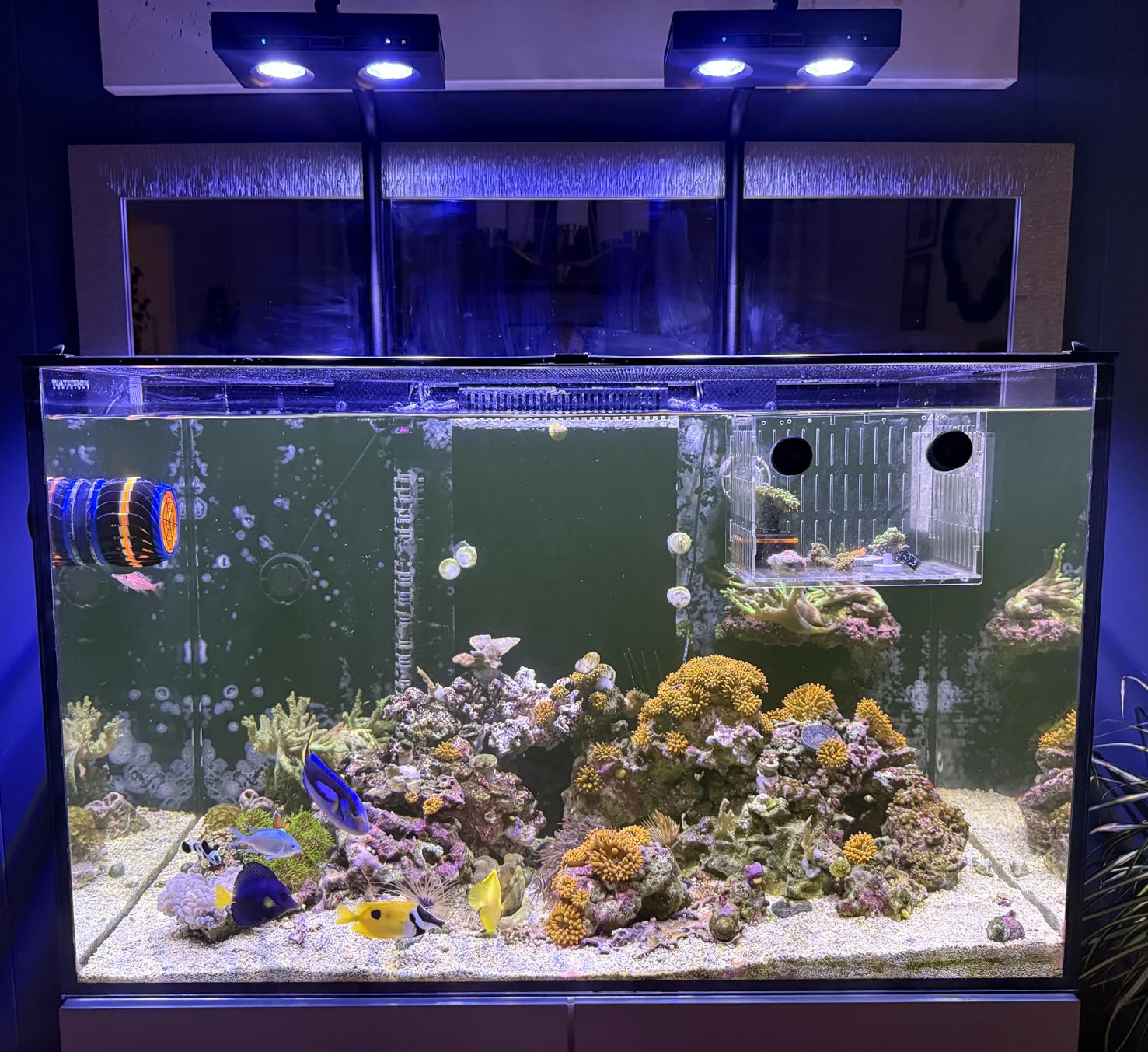 Lámpara LED de Alta Potencia p - Marine Aquarium Led Lights reseña y precio