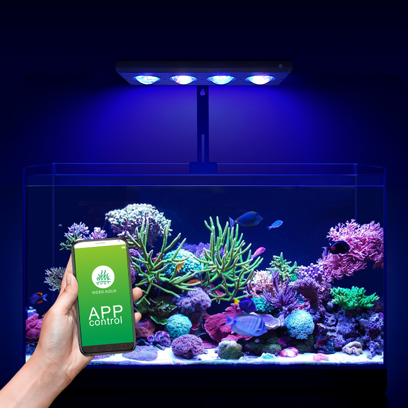 ZXY gran oferta WEEKAQUA Z250  - Marine Aquarium Led Lights reseña y precio