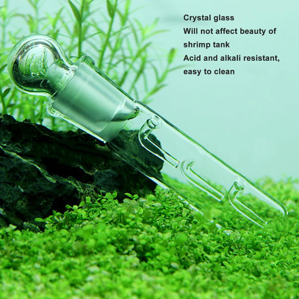 Trampa para Planarias Transpar - Marine Aquarium Glass Cleaner reseña y precio